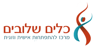 לוגו מרכז כלים שלובים